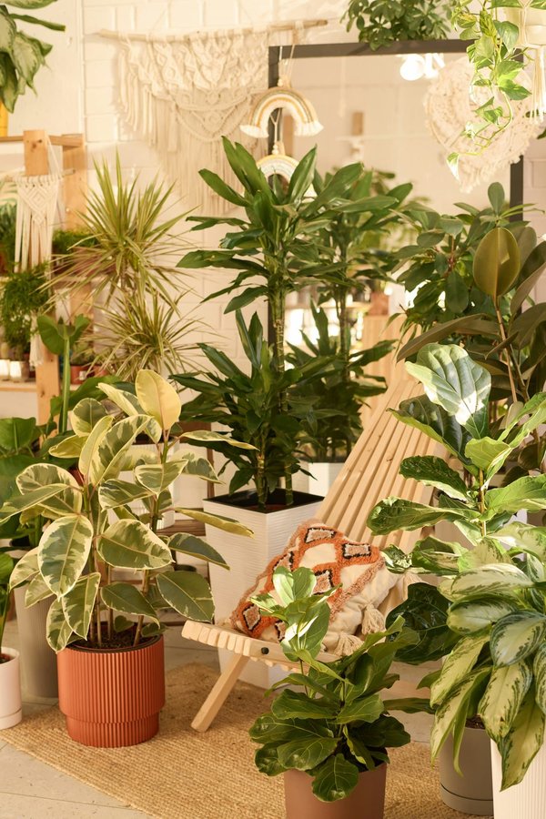 How Does the Use of Biophilic Design in Workspaces Impact Employee Well-being?